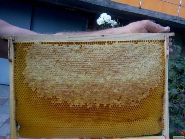 Бджолопакети