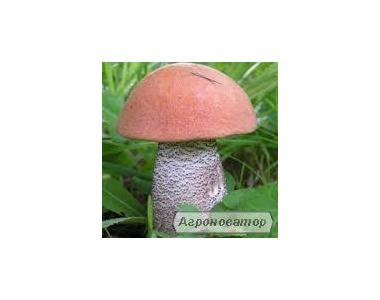 Заморожені гриби: підосичник (є і цілий кубик)
