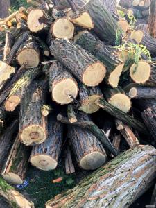 Продам у великих кількостях дрова твердих порід та фруктові дрова