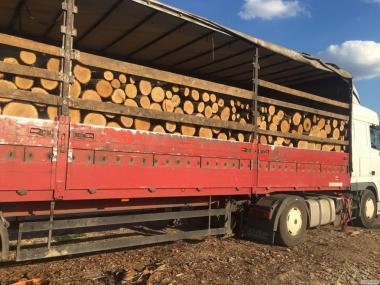 Продам у великих кількостях дрова твердих порід та фруктові дрова